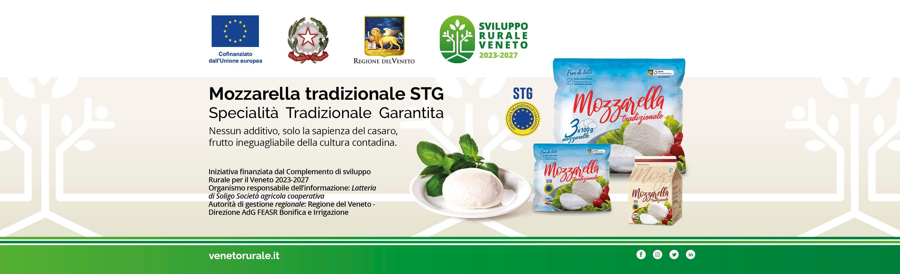 Mozzarella tradizionale STG Mozzarella tradizionale STG