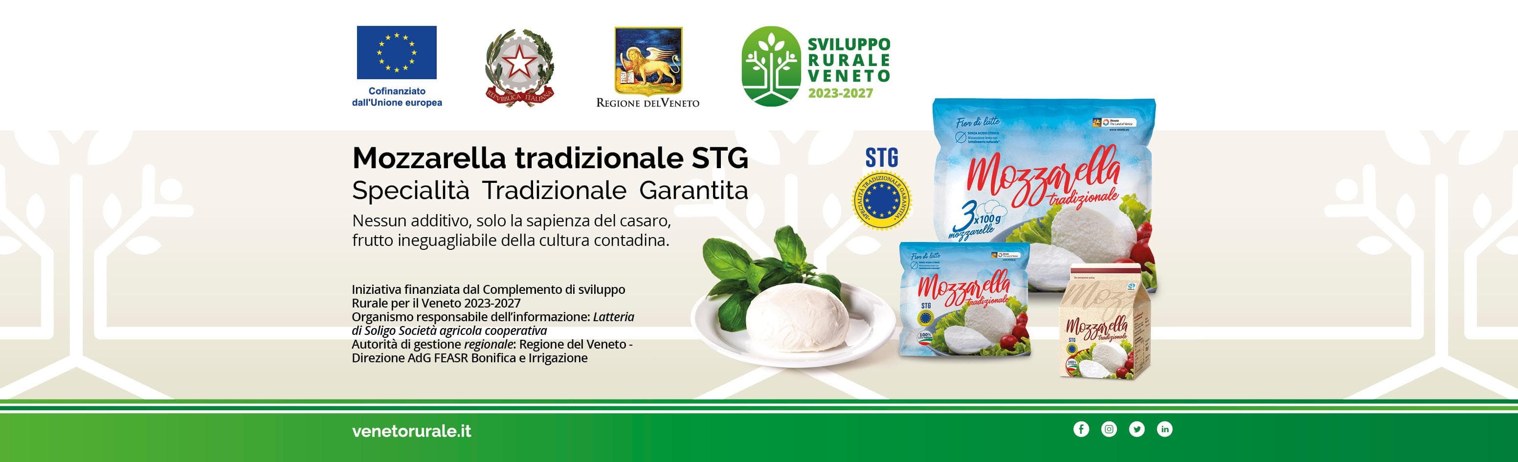 Mozzarella tradizionale STG Mozzarella tradizionale STG